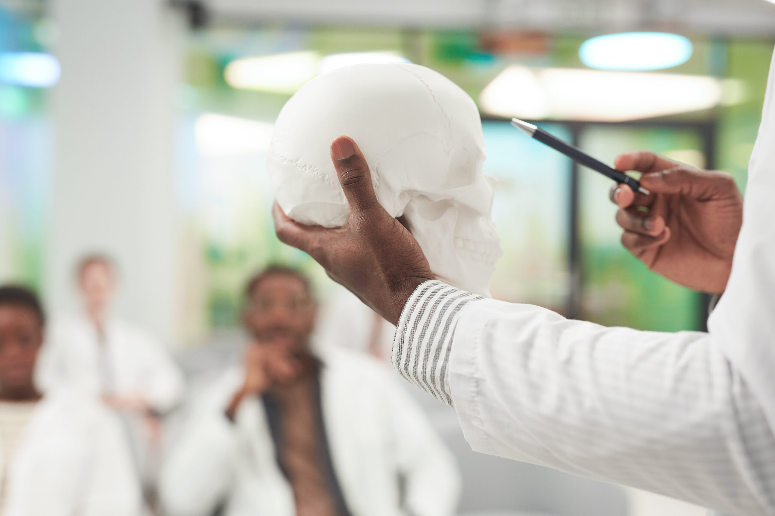 Lecturer holding skull